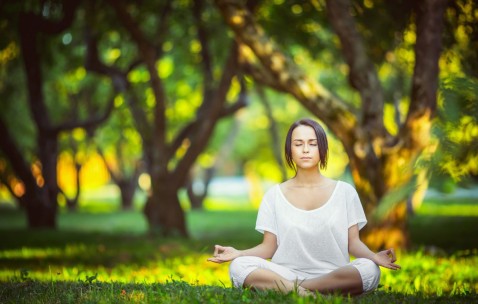 世界杯买球网址-莱万擎旗，波兰铁骑绝唱；仙人掌军团，主场荆棘征途